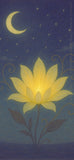 FREE Cosmic Bloom 4-Pack | Limited Edition Digital Wallpaper Set | For Android and iPhone