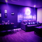 BOOK OUR Space-Themed AirBNB | Houston Texas NRG Med Center Location