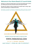 Start Smart: FREE 10-Step LLC Checklist for Your Personal Brand | The Max Fuega™ Quantum Shelf Series (Business)
