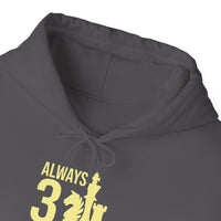 Your Fave Travel Merch | 3 Moves Unisex Chess Hoodie | Various Colors & Designs--Choose Them ALL!