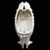 Anatomical model of a fish skull on a black background