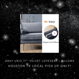 NEW IN BOX | GRAY Urio 71'' Velvet Loveseat + PILLOWS - $975 (Retail Price : $1200) Houston, TX Pick Up Only-LAST ONE LEFT!